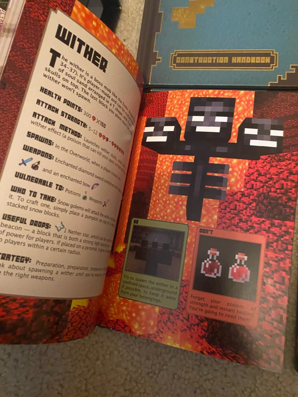 Minecraft Handbook Set in Blue, Red, Maroon, Green & Gold Accents - Picture 3 of 5